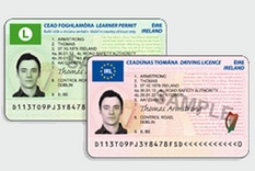 Plastic Card License