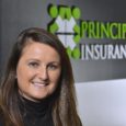 Principal Insurance Ireland extends cover to customs, classic, trikes and high value bikes.